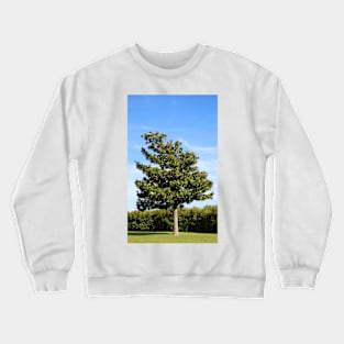 Southern Magnolia Tree Crewneck Sweatshirt